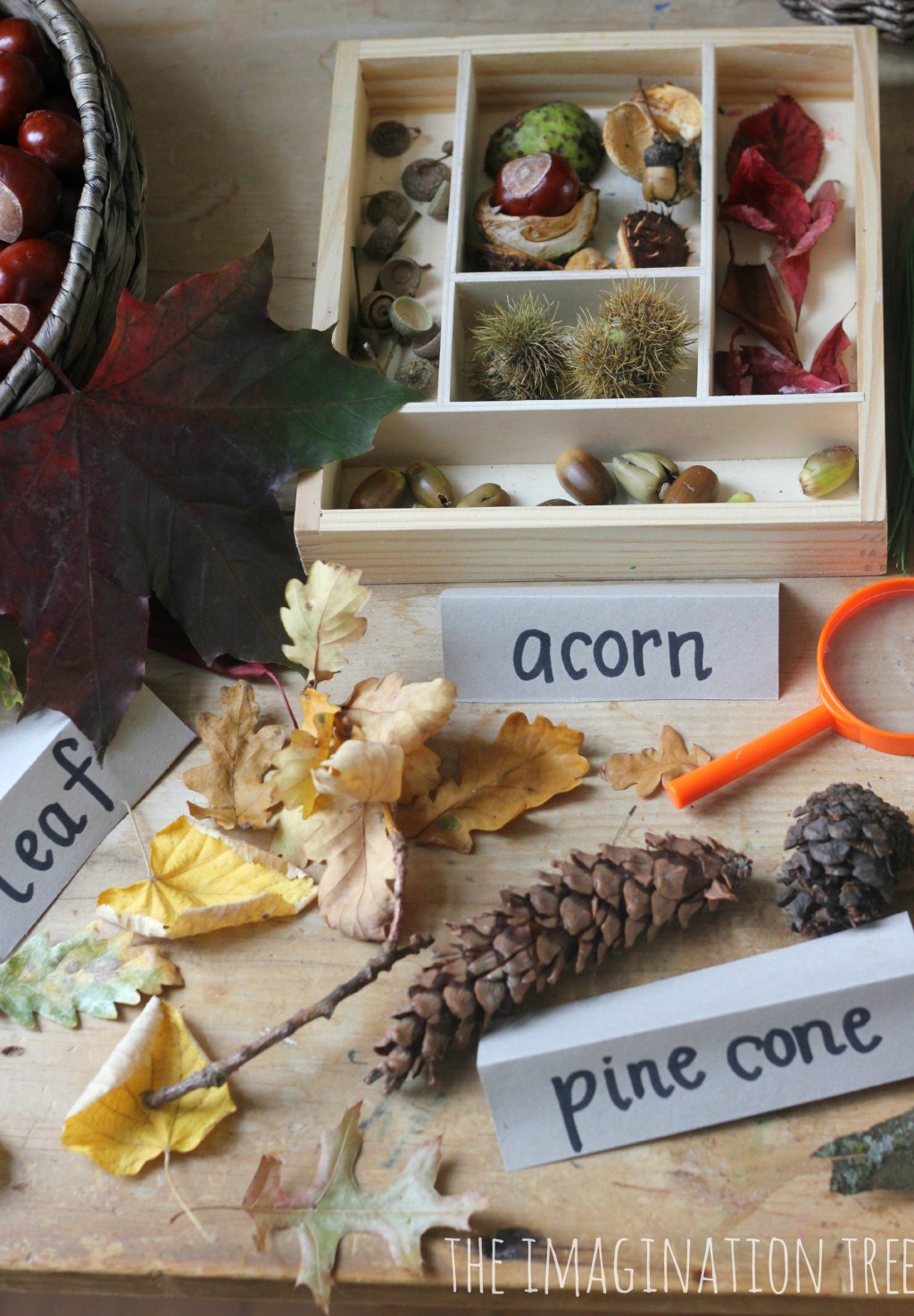 Picture of: Autumn Nature Exploration Table – The Imagination Tree