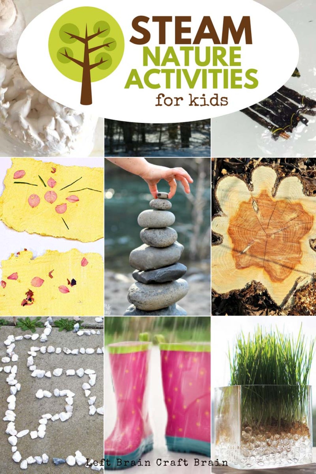 Picture of: Awesome STEAM Nature Activities for Kids – Left Brain Craft Brain