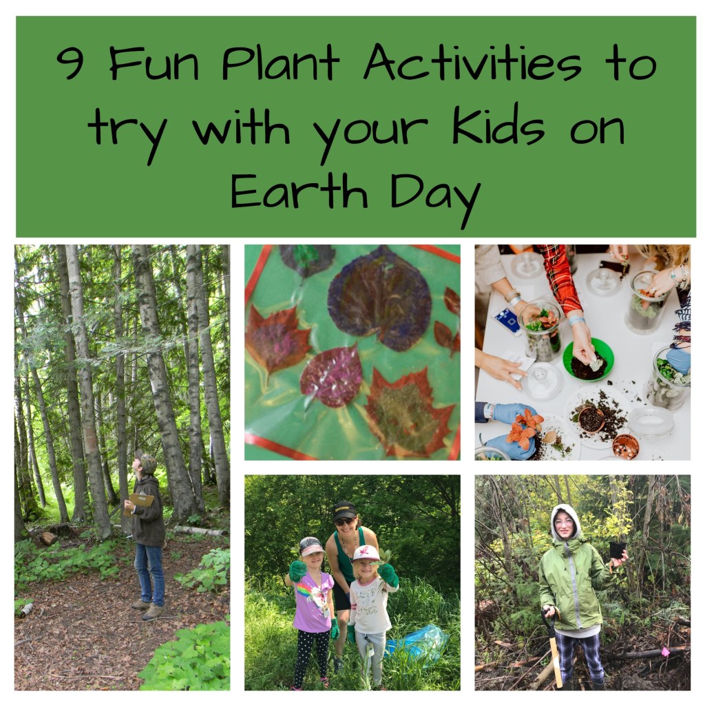Picture of: Fun Plant Activities to Try with Your Kids this Earth Month
