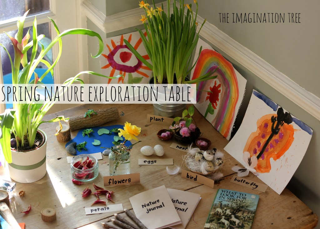 Picture of: Nature Exploration Table – The Imagination Tree