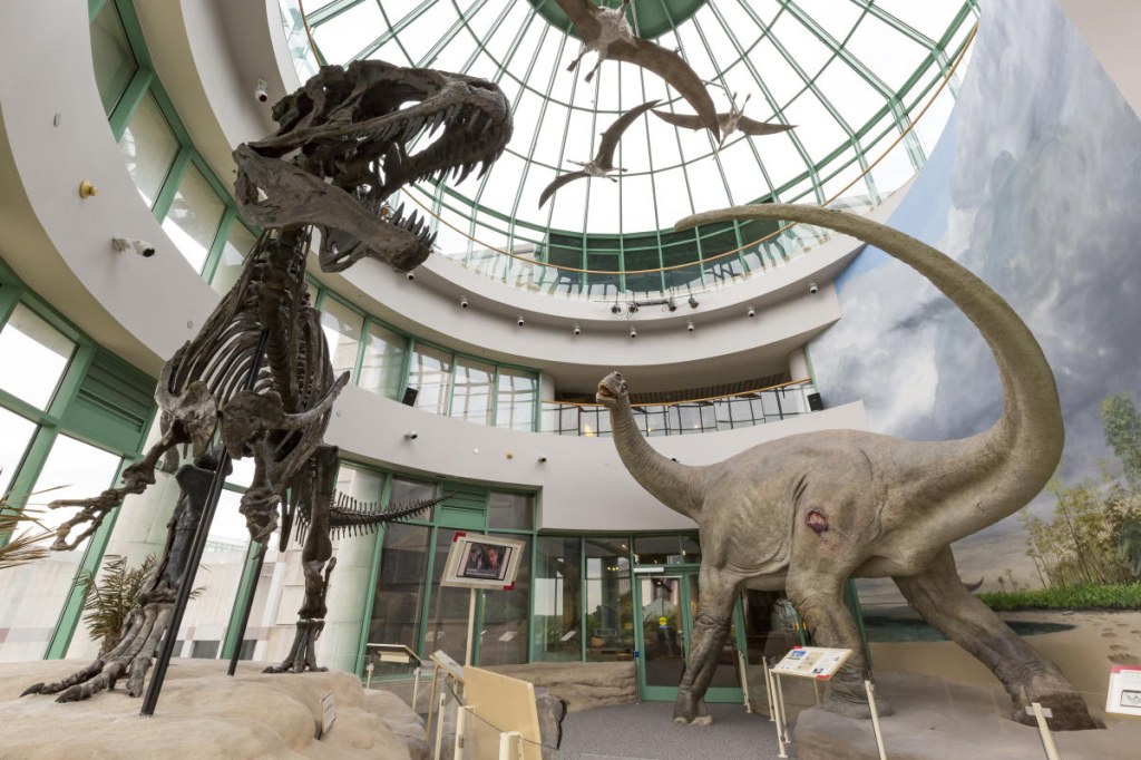 Picture of: North Carolina Museum of Natural Sciences in Raleigh, N.C