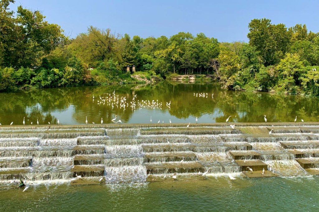 Picture of: Top Outdoor Things to Do in Dallas and Surroundings